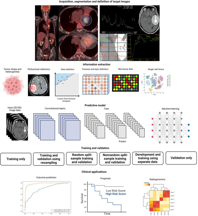 Integration of artificial intelligence and precision oncology in Latin America.