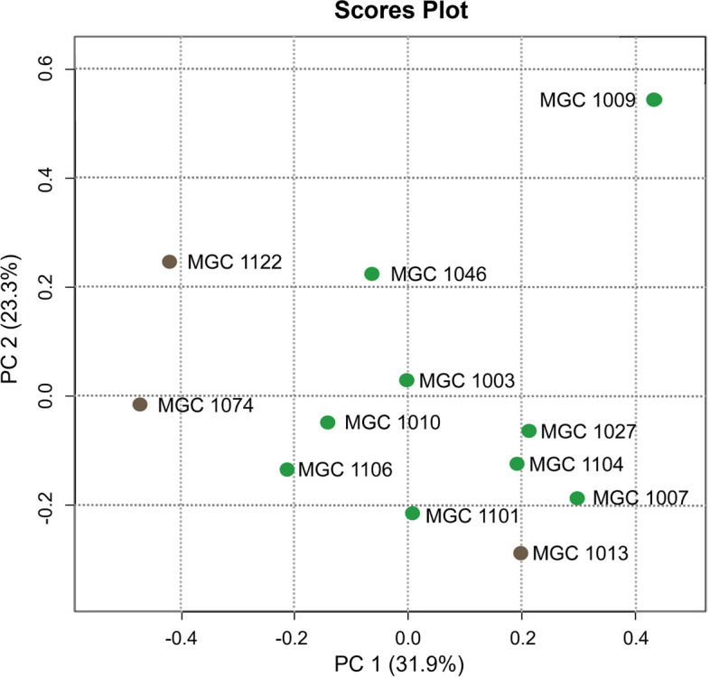 C. elegans as a test system to study relevant compounds that contribute to the specific health-related effects of different cannabis varieties.