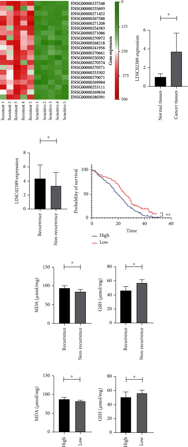 LINC02389/miR-7-5p Regulated Cisplatin Resistance of Non-Small-Cell Lung Cancer via Promoting Oxidative Stress.