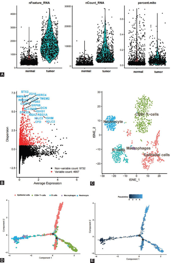 Complement C1QC as a potential prognostic marker and therapeutic target in colon carcinoma based on single-cell RNA sequencing and immunohistochemical analysis.