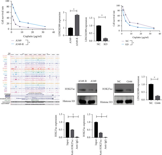 LINC02389/miR-7-5p Regulated Cisplatin Resistance of Non-Small-Cell Lung Cancer via Promoting Oxidative Stress.