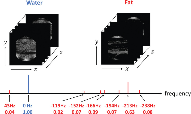 Bloch Simulation of a Three-point Dixon Experiment Using a Four-dimensional Numerical Phantom.