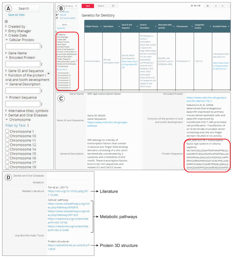 Development of a Secondary Dental-Specific Database for Active Learning of Genetics in Dentistry Programs.