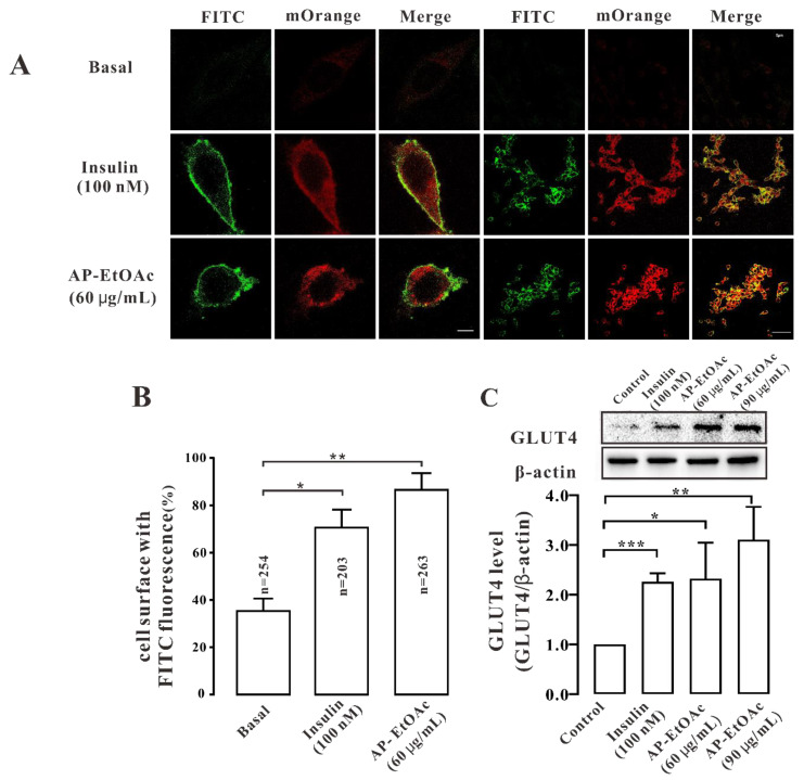 Andrographolide Promotes Uptake of Glucose and GLUT4 Transport through the PKC Pathway in L6 Cells.