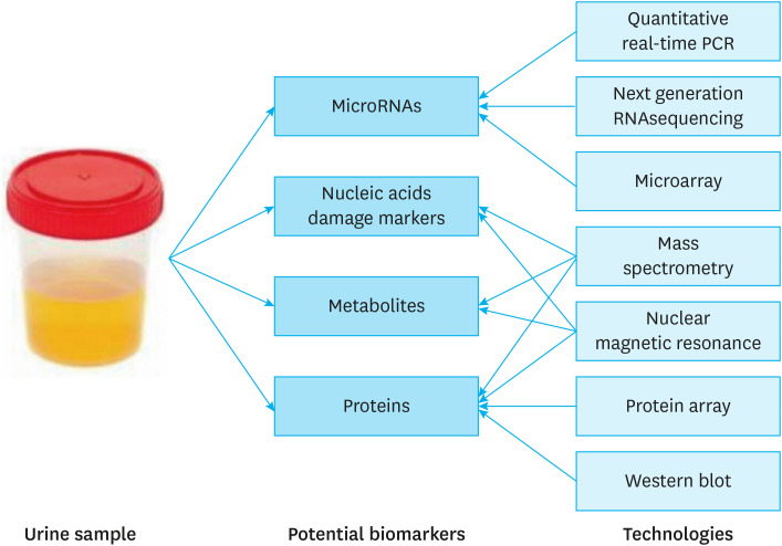 Urinary Biomarkers for the Noninvasive Detection of Gastric Cancer.