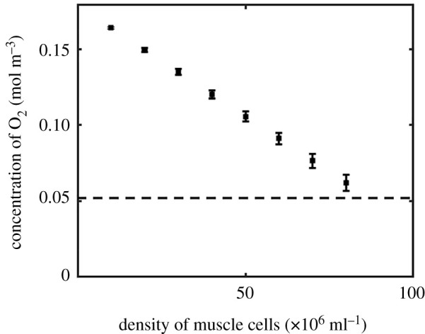 Mathematical modelling of oxygen transport in a muscle-on-chip device.