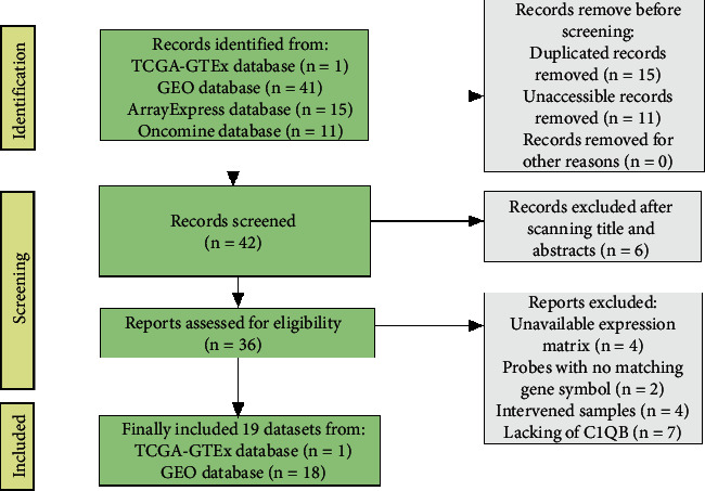 Detection of Complement C1q B Chain Overexpression and Its Latent Molecular Mechanisms in Cervical Cancer Tissues Using Multiple Methods.