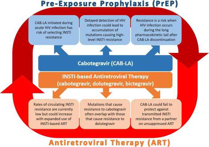 Long-Acting Injectable Cabotegravir for HIV Prevention: What Do We Know and Need to Know about the Risks and Consequences of Cabotegravir Resistance?