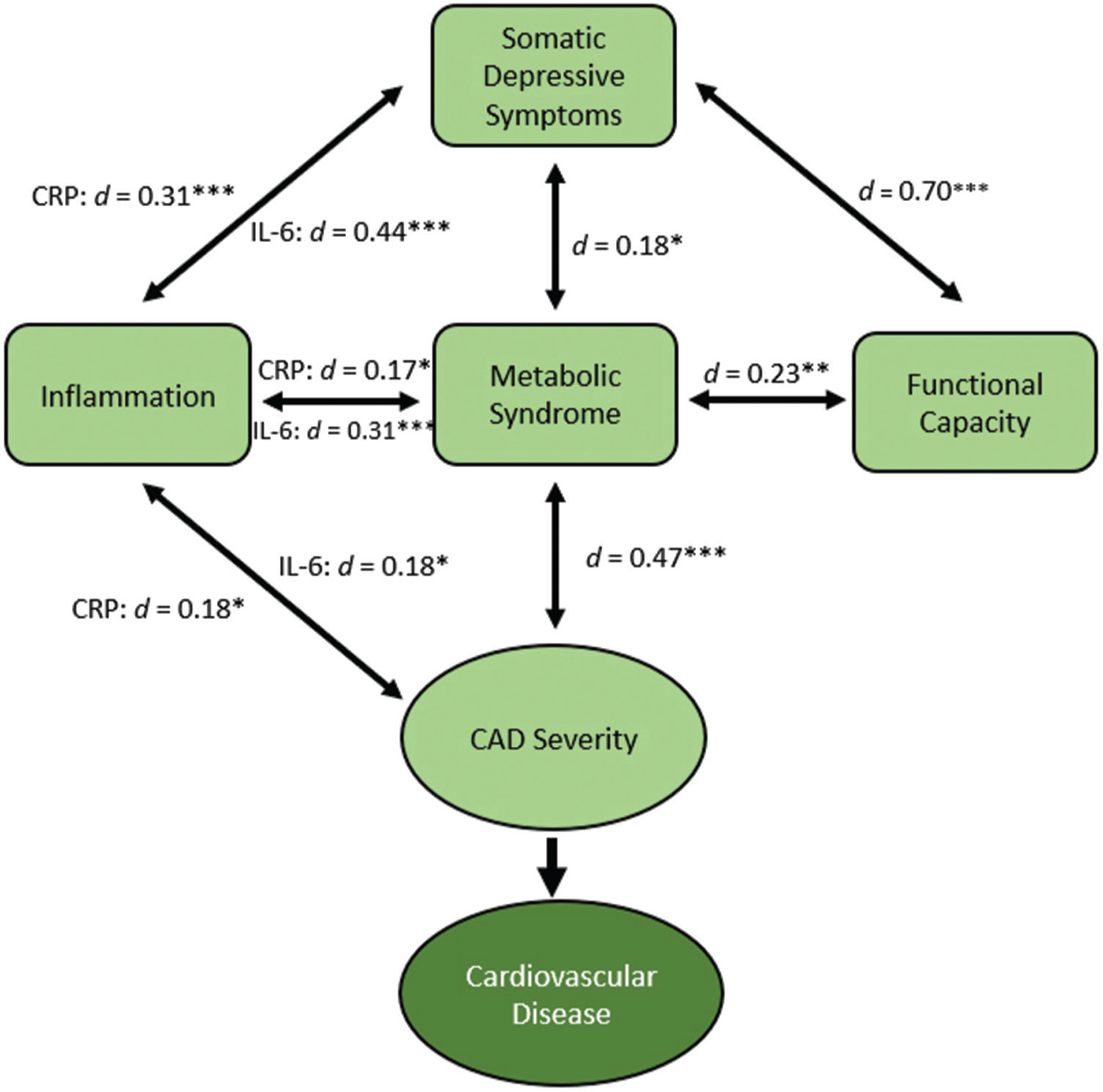 Depression Symptom Patterns as Predictors of Metabolic Syndrome and Cardiac Events in Symptomatic Women with Suspected Myocardial Ischemia: The Women's Ischemia Syndrome Evaluation (WISE and WISE-CVD) Projects.