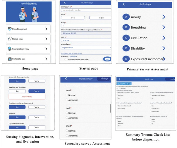 Evaluation of a Web Application for Nursing Records of Multiple Trauma Patients in an Emergency Department.