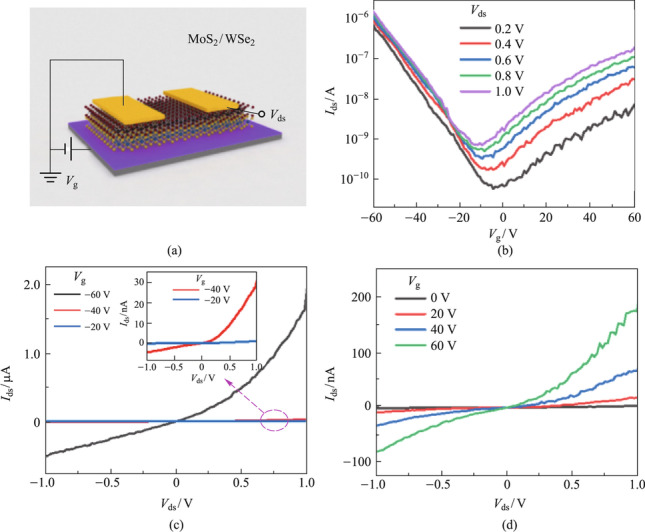 Van der Waals epitaxial growth and optoelectronics of a vertical MoS<sub>2</sub>/WSe<sub>2</sub> p-n junction.