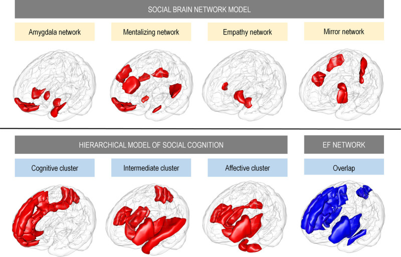 The Nervous System as a Pathway for Exercise to Improve Social Cognition.