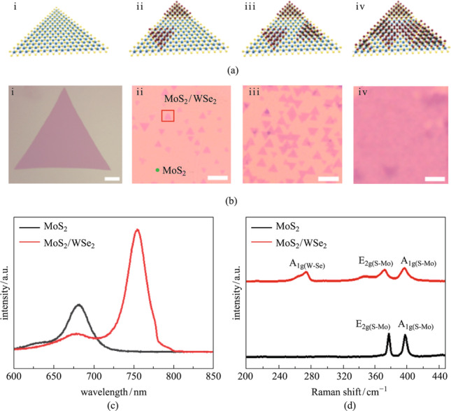 Van der Waals epitaxial growth and optoelectronics of a vertical MoS<sub>2</sub>/WSe<sub>2</sub> p-n junction.