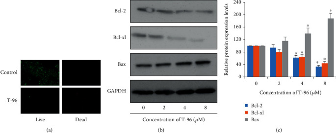 Antitumor Effect of Demethylzeylasteral (T-96) on Triple-Negative Breast Cancer via LSD1-Mediate Epigenetic Mechanisms.