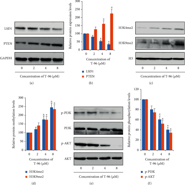 Antitumor Effect of Demethylzeylasteral (T-96) on Triple-Negative Breast Cancer via LSD1-Mediate Epigenetic Mechanisms.