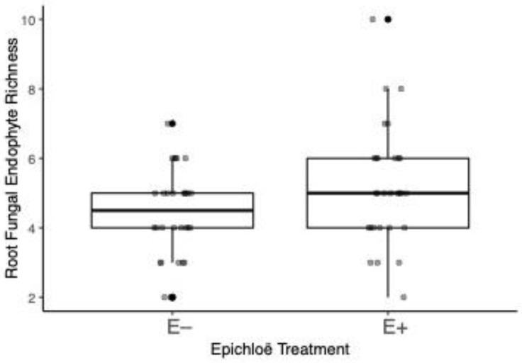 <i>Epichloë</i> Increases Root Fungal Endophyte Richness and Alters Root Fungal Endophyte Composition in a Changing World.