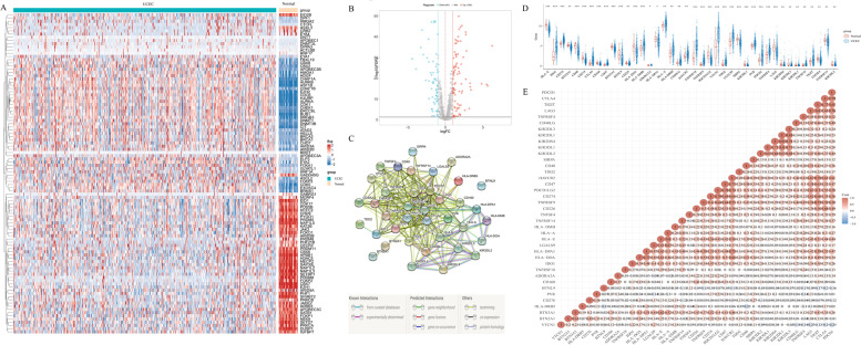 A novel chromatin regulator-related immune checkpoint related gene prognostic signature and potential candidate drugs for endometrial cancer patients.