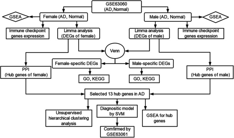 Bioinformatics analysis of diagnostic biomarkers for Alzheimer's disease in peripheral blood based on sex differences and support vector machine algorithm.