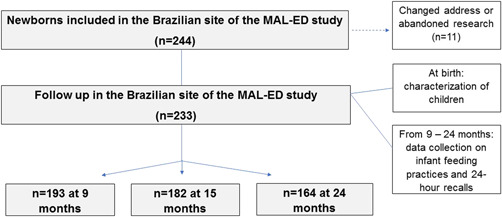 Evolution of infant feeding practices in children from 9 to 24 months, considering complementary feeding indicators and food processing: Results from the Brazilian cohort of the MAL-ED study.