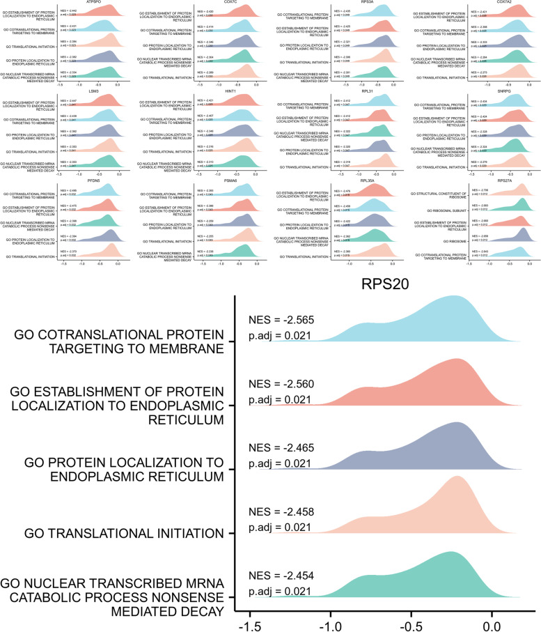 Bioinformatics analysis of diagnostic biomarkers for Alzheimer's disease in peripheral blood based on sex differences and support vector machine algorithm.