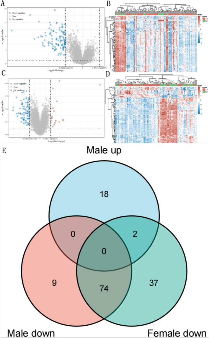 Bioinformatics analysis of diagnostic biomarkers for Alzheimer's disease in peripheral blood based on sex differences and support vector machine algorithm.