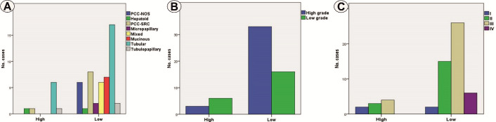 Immunoexpression of Claudin 4 in Gastric Adenocarcinomas.