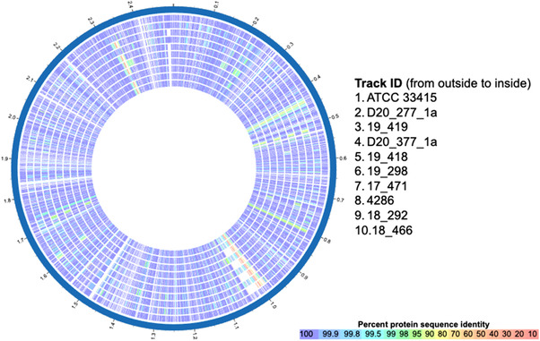 <i>Actinobacillus suis</i> isolated from diseased pigs are phylogenetically related but harbour different number of toxin gene copies in their genomes.