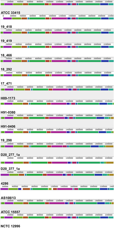 <i>Actinobacillus suis</i> isolated from diseased pigs are phylogenetically related but harbour different number of toxin gene copies in their genomes.