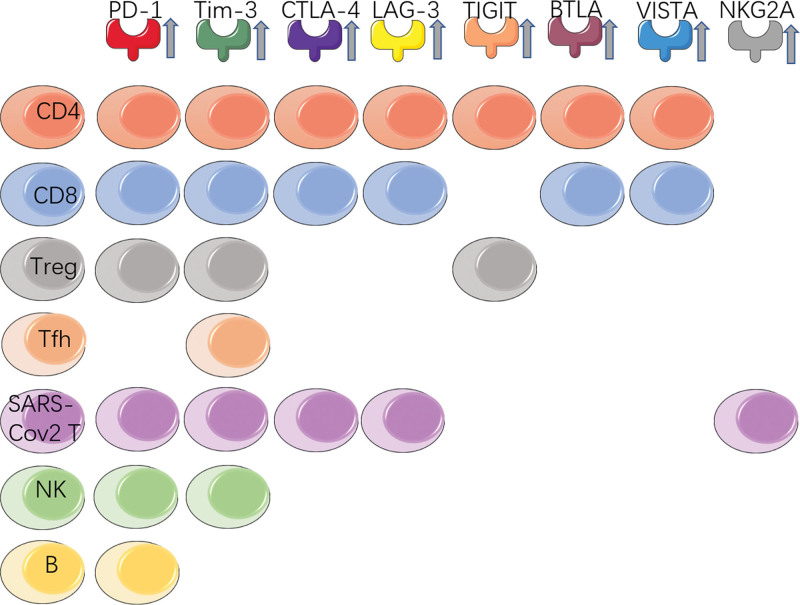 Immune checkpoint alterations and their blockade in COVID-19 patients.