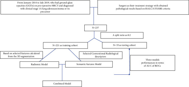 Feasibility of Using High-Resolution Computed Tomography Features for Invasiveness Differentiation of Malignant Nodules Manifesting as Ground-Glass Nodules.