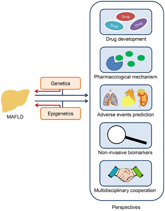 Update on genetics and epigenetics in metabolic associated fatty liver disease.