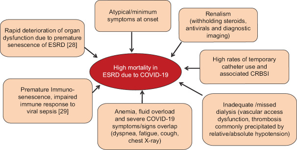 COVID-19: A nephrologists' perspective.