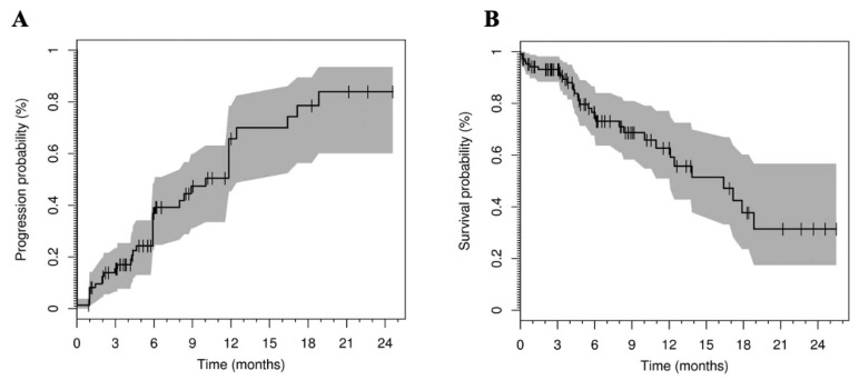 Recent Advances in Hepatocellular Carcinoma Treatment with Radionuclides.