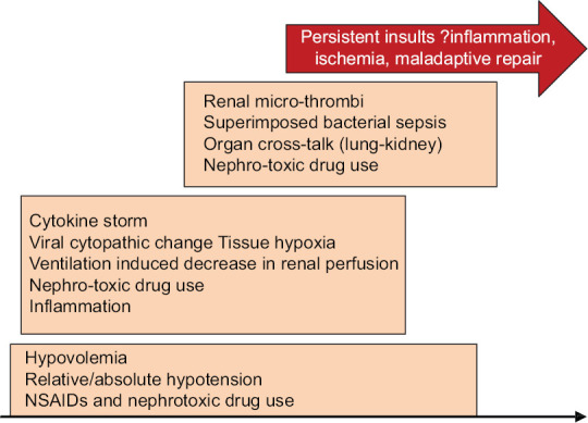 COVID-19: A nephrologists' perspective.