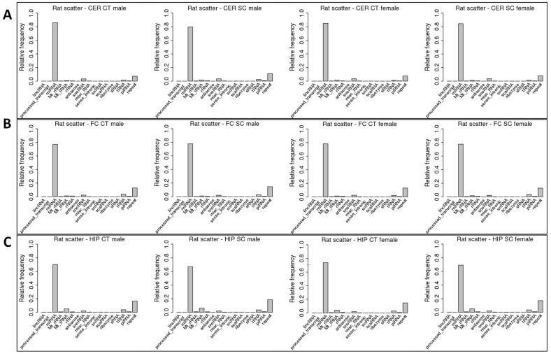 Scatter Irradiation of Rat Brain Triggers Sex- and Brain Region-Specific Changes in the Expression of Non-Coding RNA Fragments.