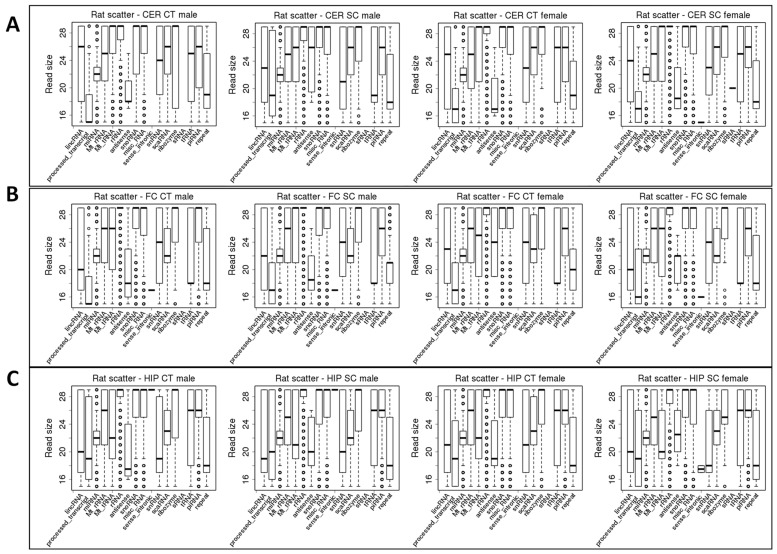 Scatter Irradiation of Rat Brain Triggers Sex- and Brain Region-Specific Changes in the Expression of Non-Coding RNA Fragments.