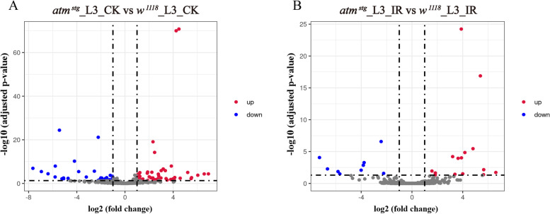 Profiling ATM regulated genes in Drosophila at physiological condition and after ionizing radiation.