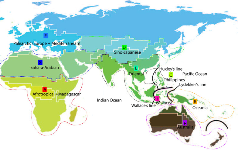 The evolutionary history and ancestral biogeographic range estimation of old-world Rhinolophidae and Hipposideridae (Chiroptera).