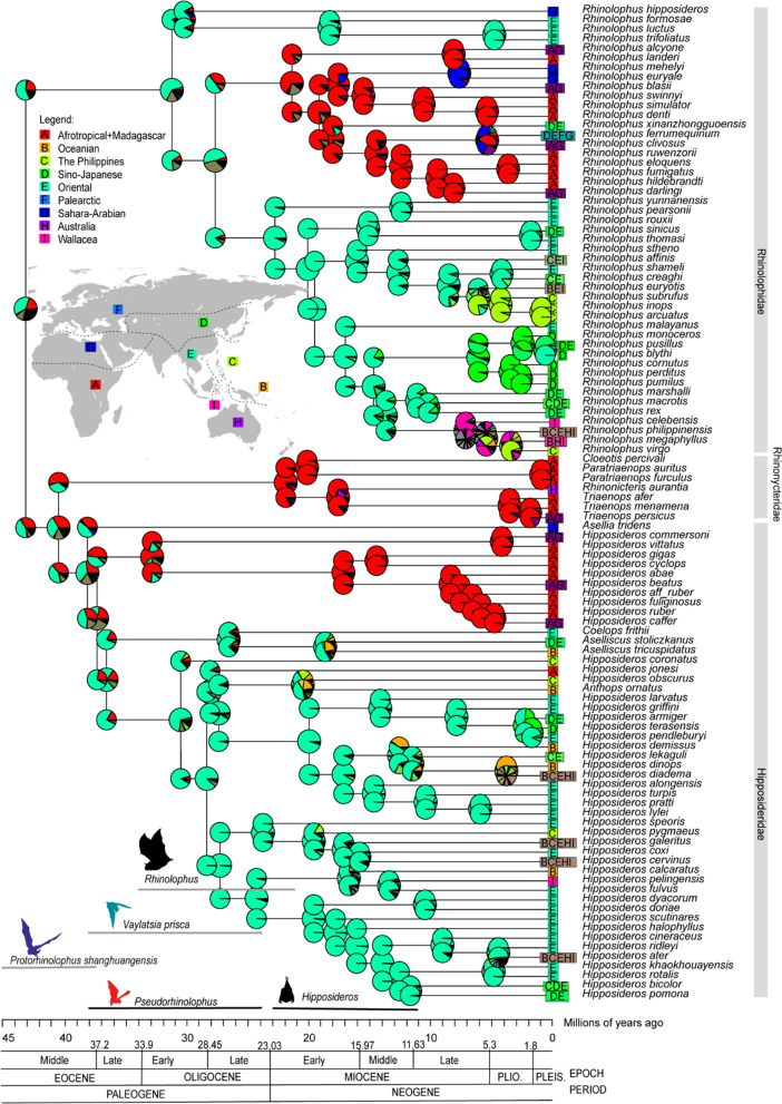 The evolutionary history and ancestral biogeographic range estimation of old-world Rhinolophidae and Hipposideridae (Chiroptera).