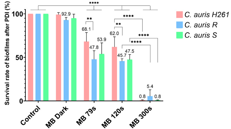 Photodynamic Inactivation Effectively Eradicates <i>Candida auris</i> Biofilm despite Its Interference with the Upregulation of <i>CDR1</i> and <i>MDR1</i> Efflux Genes.