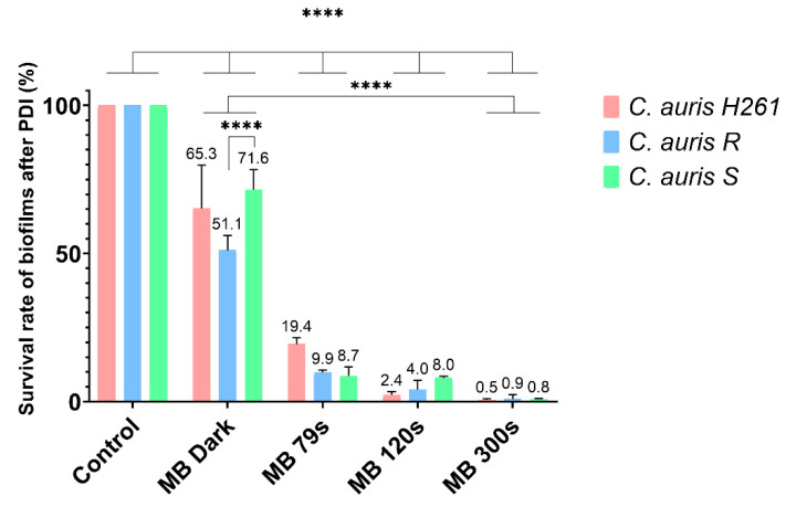 Photodynamic Inactivation Effectively Eradicates <i>Candida auris</i> Biofilm despite Its Interference with the Upregulation of <i>CDR1</i> and <i>MDR1</i> Efflux Genes.