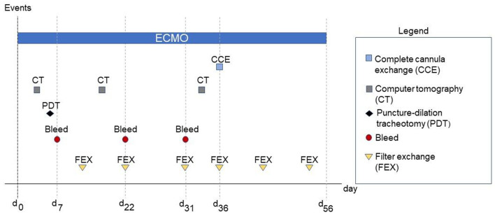 Be Patient: Prolonged Extracorporeal Membrane Oxygenation Support Including Full System Switch With Favorable Outcome.