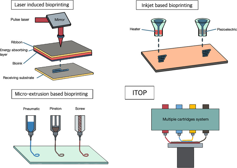 The comprehensive on-demand 3D bio-printing for composite reconstruction of mandibular defects.