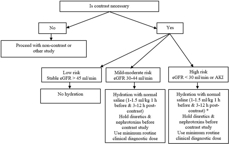 Contrast-Induced Acute Kidney Injury: Evidence in Support of Its Existence and a Review of Its Pathogenesis and Management.