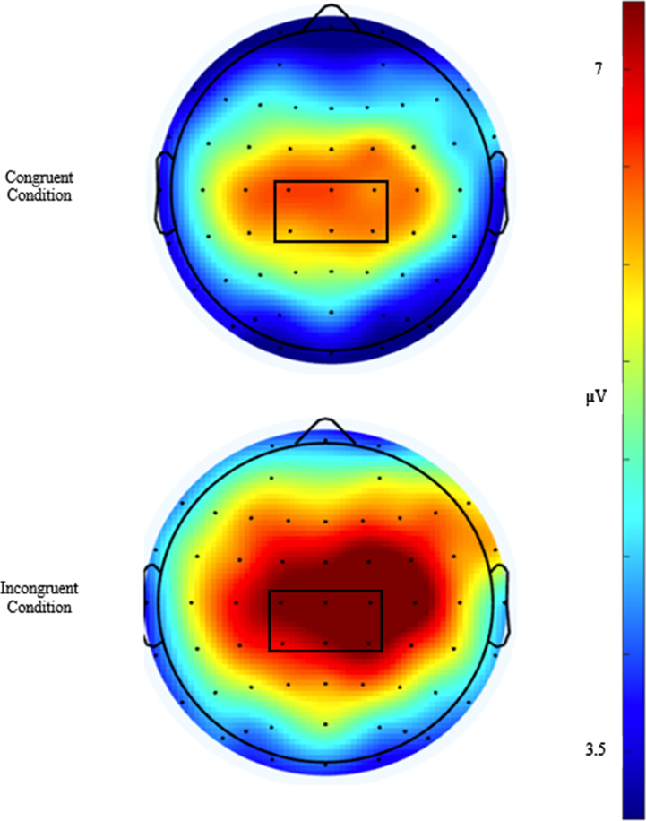 Cathepsin B and Muscular Strength are Independently Associated with Cognitive Control.