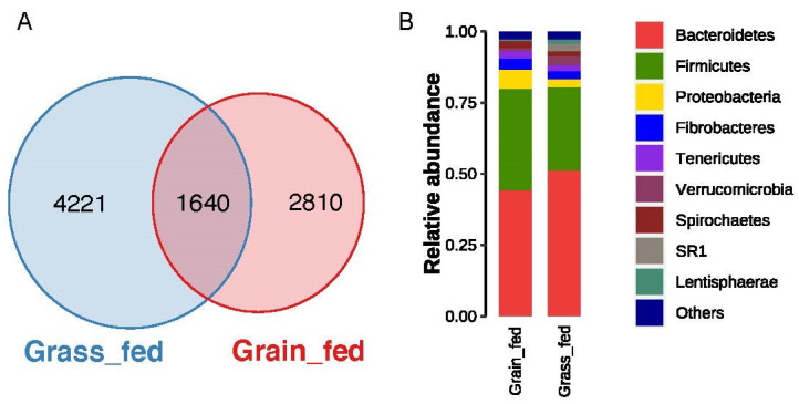 Rumen Microbial Predictors for Short-Chain Fatty Acid Levels and the Grass-Fed Regimen in Angus Cattle.