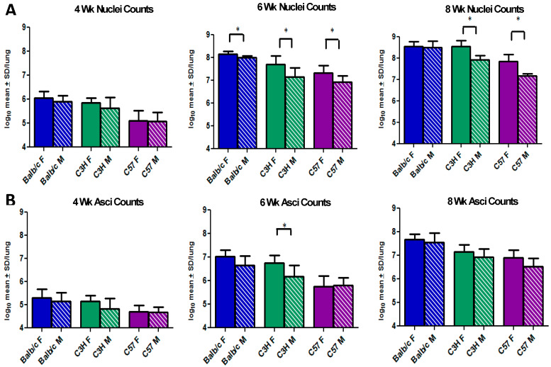 The Effects of Sex and Strain on <i>Pneumocystis murina</i> Fungal Burdens in Mice.