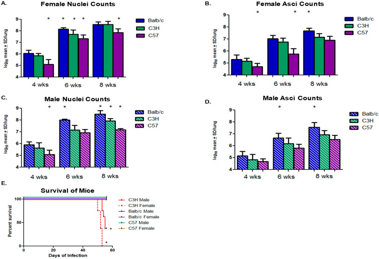 The Effects of Sex and Strain on <i>Pneumocystis murina</i> Fungal Burdens in Mice.