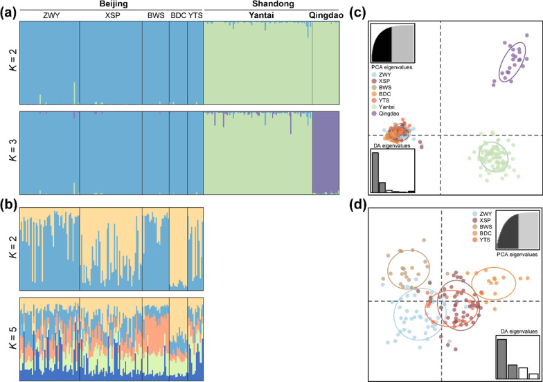 A centenary tale: population genetic insights into the introduction history of the oriental fire-bellied toad (Bombina orientalis) in Beijing.