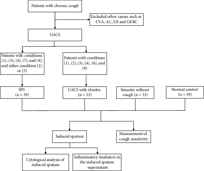 A Study on Cough Sensitivity and Airway Inflammation in Patients with Sinobronchial Syndrome.